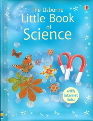 The Usborne Little Book of Science