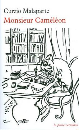 Monsieur Caméléon