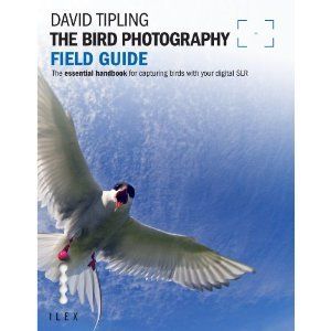 Bird Photography Field Guide