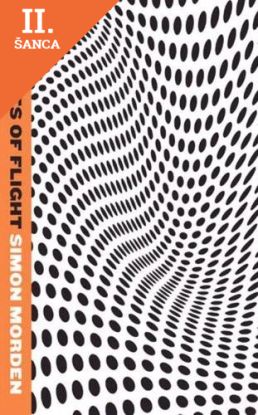 Lacná kniha Theories of Flight