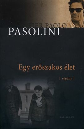Egy erőszakos élet (regény)