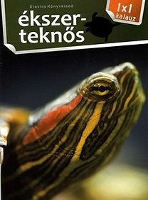 Ékszerteknős
