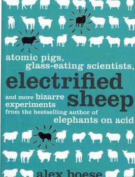Electrified Sheep