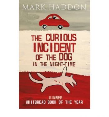 The Curious Incident of the Dog in the Night-time