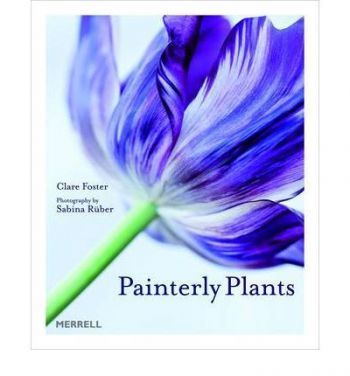 Painterly Plants