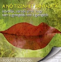 A nő tizenhét árnyalata - Hangoskönyv