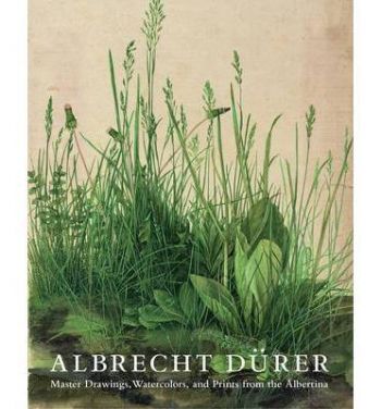 Albrecht Durer : Master Drawings, Watercolors and