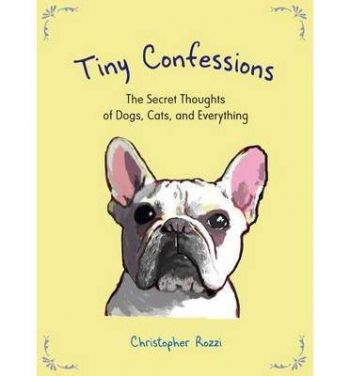 Tiny Confessions