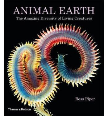 Animal Earth