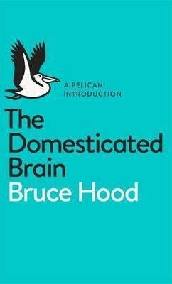 Domesicated Brain