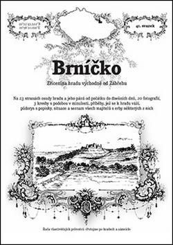 Brníčko - zřícenina hradu východně od Zábřehu
