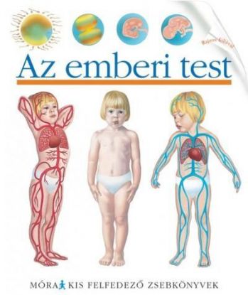 Az emberi test