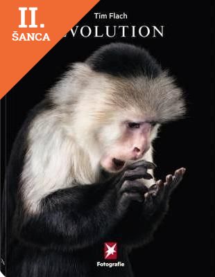 Lacná kniha Stern Portfolio No. 74 Evolution