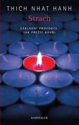Strach. Základní průvodce, jak přežít bouři