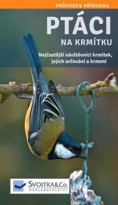 Ptáci na krmítku - Nejčastější návštěvníci krmítek
