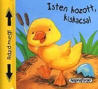 Isten hozott, kiskacsa!