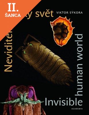 Lacná kniha Neviditelný lidský svět/Invisible Humann World