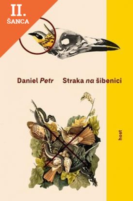 Lacná kniha Straka na šibenici