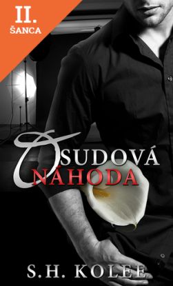 Lacná kniha Osudová náhoda