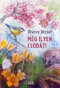 Még ilyen csodát!