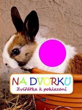 Na dvorku