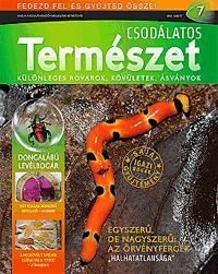 Csodálatos természet 7.