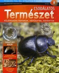 Csodálatos természet 8.