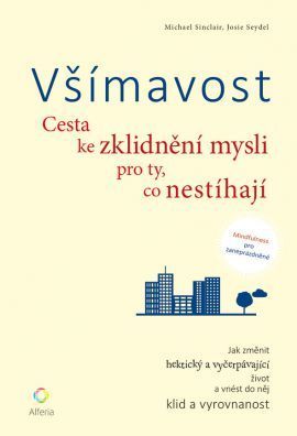 Všímavost