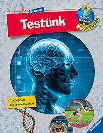 Mit? Miért? Hogyan? - Testünk