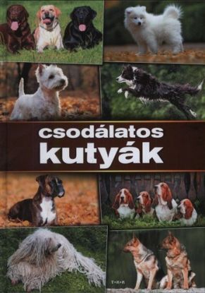 Csodálatos kutyák