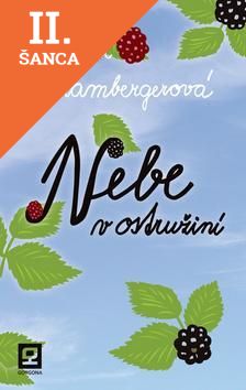 Lacná kniha Nebe v ostružiní
