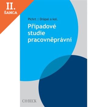 Lacná kniha Případové studie pracovněprávní
