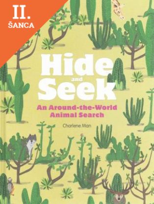 Lacná kniha Hide and Seek