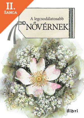 Lacná kniha A legcsodálatosabb nővérnek