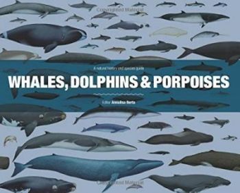 Whales, Dolphins and Porpoises