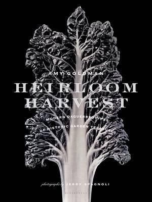 Heirloom Harvest Modern Daguerreotypes of Historic Garden Treasures