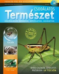 Csodálatos természet 14