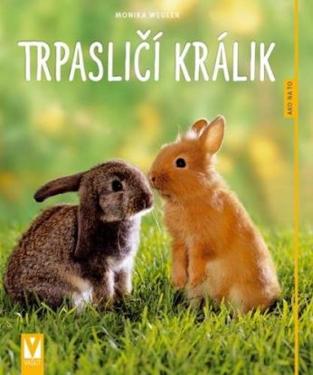 Trpasličí králik - Ako na to 2 vydanie