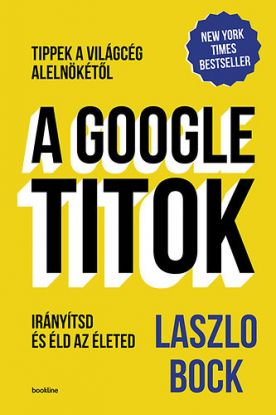 A Google-titkok - Tippek a világcég alelnökétől