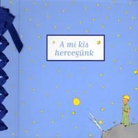 A mi kis hercegünk - Babanapló