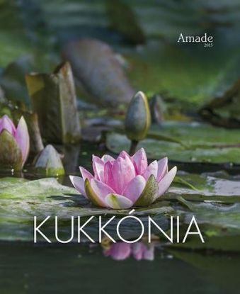 Kukkónia