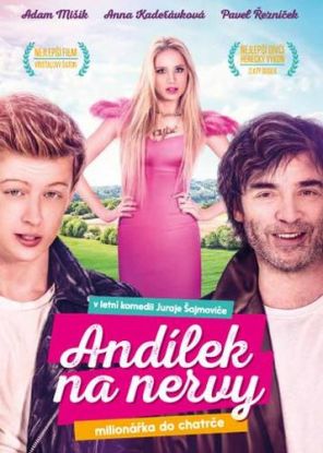 Andílek na nervy   DVD