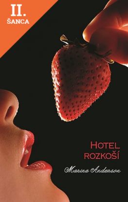 Lacná kniha Hotel rozkoší