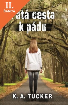 Lacná kniha Pátá cesta k pádu