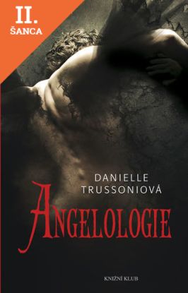 Lacná kniha Angelologie