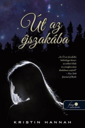 Út az éjszakába