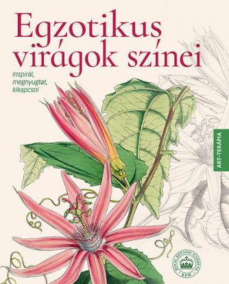 Egzotikus virágok színei