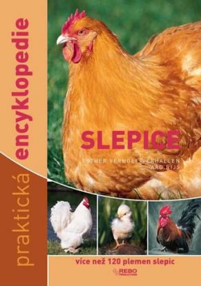 Slepice