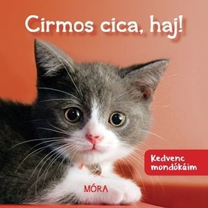 Cirmos cica, haj!