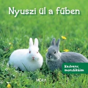 Nyuszi ül a fűben